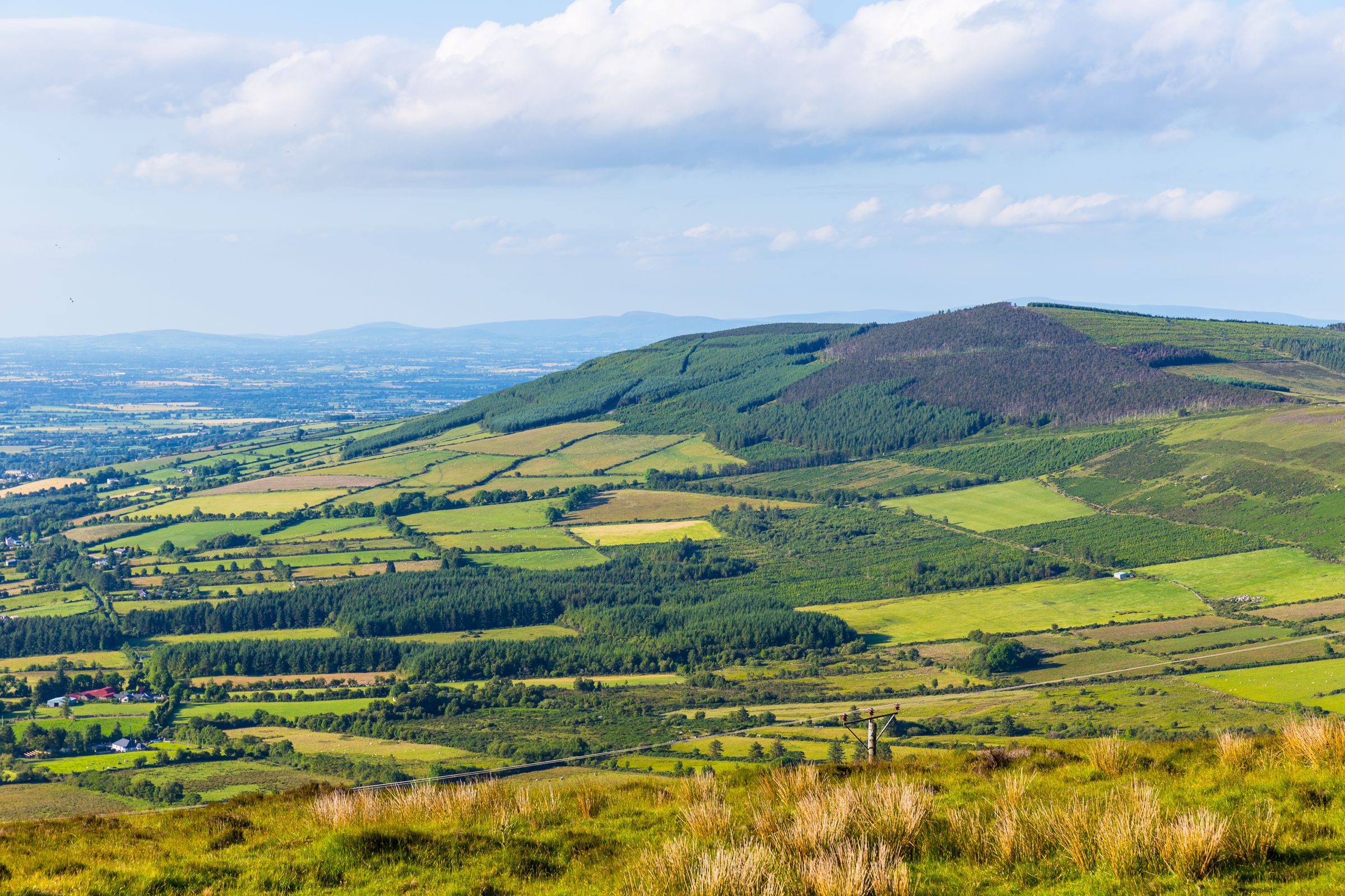 explainer-what-makes-irish-whiskey-unique